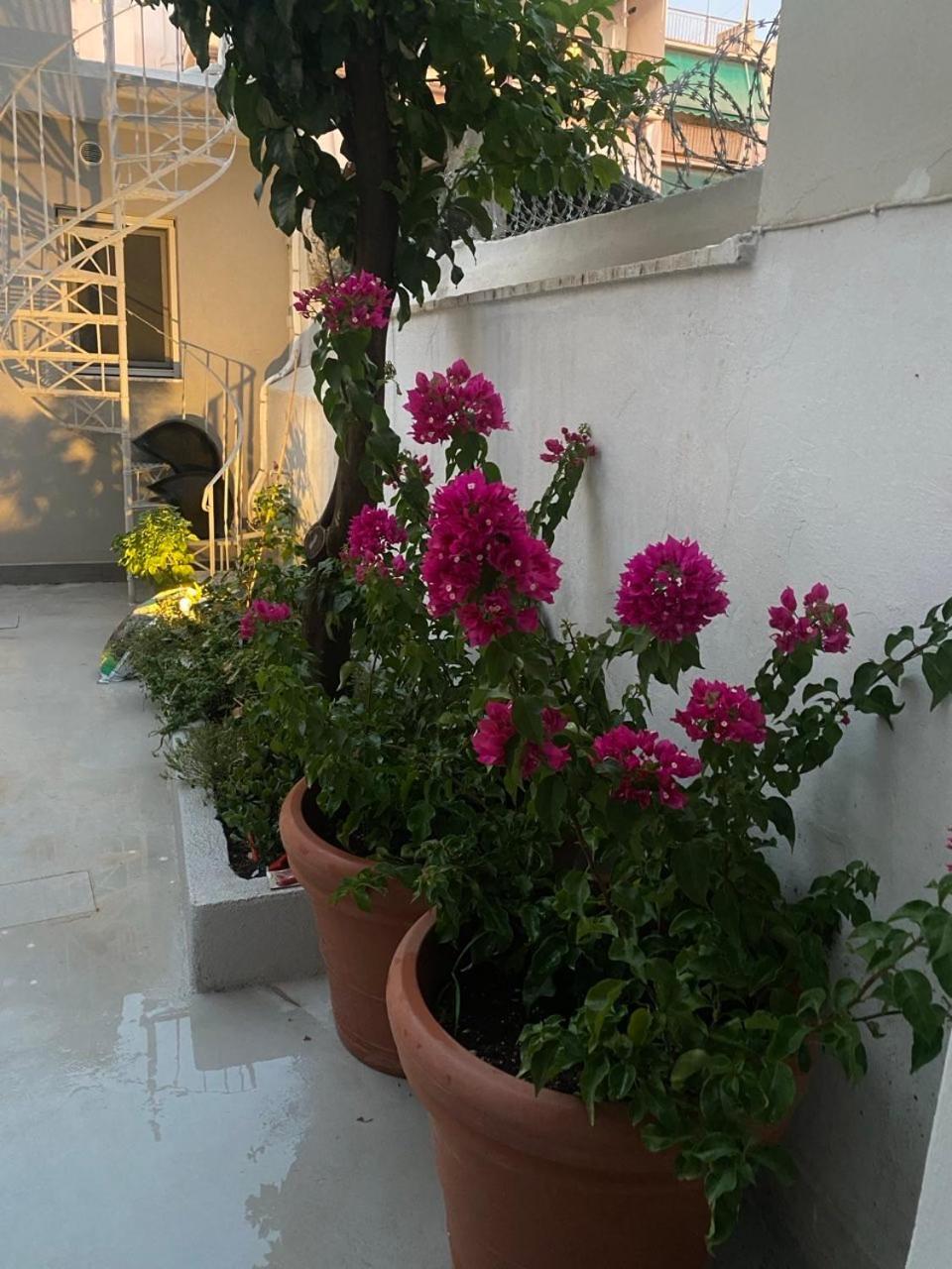 Alexandra Apartment Αθήνα Εξωτερικό φωτογραφία